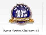 Satisfaccion Garantizada Diseño Web